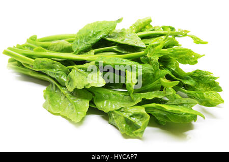 Verde Ceylon Spinaci isolati su sfondo bianco Foto Stock