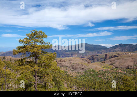 Centrale di Gran Canaria, area protetta della Riserva Naturale Integrale Inagua, vista sul plateau de Acusa verso Altavista Foto Stock