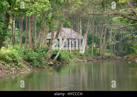 Lussureggiante Ao figlio del camp nella giungla, Ko Tarutao Island, Thailandia Foto Stock