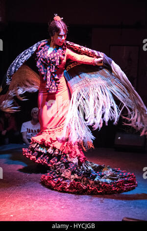 Uno spettacolo di flamenco serale viene eseguito al Museo del Baile Flamenco nella città vecchia di Siviglia, Spagna. Il Museo del Baile Flamenco offre una visita Foto Stock