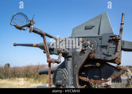 Flak 28 / Bofors 40 mm pistola, anti-aerei auto-cannon a Raversyde Atlantikwall / Atlantic Wall open-air museum a Raversijde, Fiandre Occidentali, Belgio Foto Stock