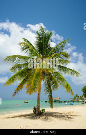 Pigeon Point Heritage Park sull'isola di Tobago Trinidad & Tobago Foto Stock