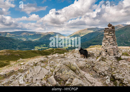 Il punto di innesco sul vertice di Loughrigg cadde. Un cane è godendo la vista guardando verso Grasmere. Foto Stock