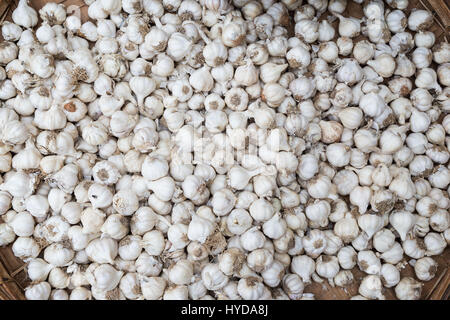 Un sacco di intere garlics in un cesto tessuto al Zegyo (noto anche come Zay Cho) Mercato a Mandalay, Myanmar (Birmania). Visto dal di sopra. Foto Stock