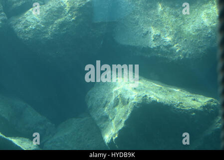 In fondo al mare Foto Stock