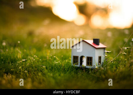 Modello di Casa al Prato con erba e margherite di sera. Foto Stock