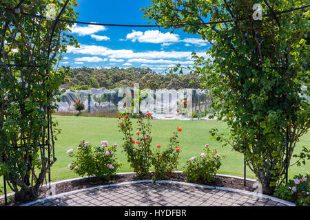 Voyager Station Wagon vigneto, Margaret River, a Sud Australia Occidentale. Foto Stock