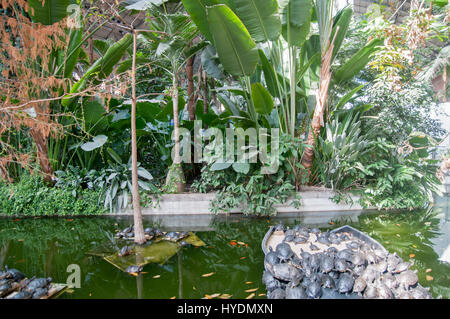 Interno della stazione ferroviaria di Atocha e giardino botanico, Madrid, Spagna Foto Stock