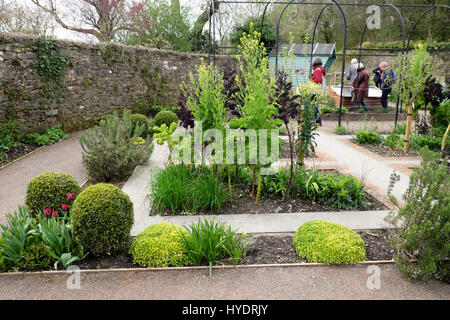 I visitatori che desiderano intorno alle erbe e patch di vegetali in primavera presso il National Botanic Garden of Wales, Carmarthenshire UK KATHY DEWITT Foto Stock