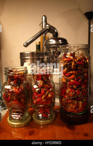 Red bird's eye chilis essiccamento in vasi nella tradizionale cucina greca Foto Stock