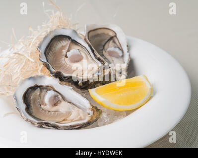 Ostriche fresche con il limone sulla piastra bianca nel ristorante. Luce naturale Foto Stock