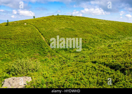 Percorso di avvolgimento attraverso grandi prati sul pendio della montagna dei Carpazi ridge Foto Stock