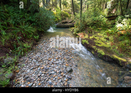 Cascate Toketee insenature Foto Stock