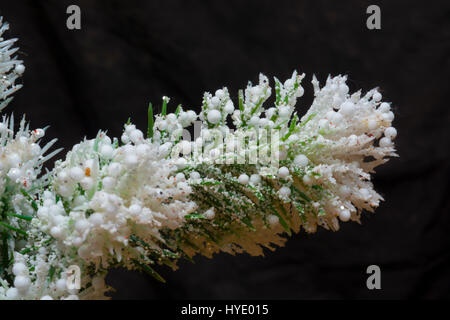 Decorativo inserzioni floreali neve invernale Foto Stock