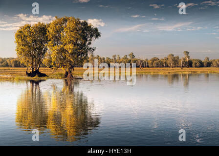 Il cielo si riflette nelle paludi di Kakadu nel Parco Nazionale Kakadu, Territori del Nord, Australia Foto Stock