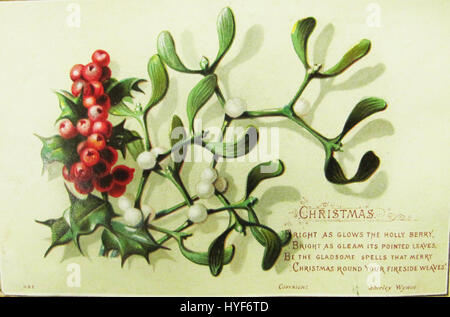 Questo biglietto natalizio vintage della Biblioteca Nazionale d'Irlanda presenta un classico design holly. La carta, con il suo tema stagionale, rappresenta le tradizionali immagini natalizie spesso viste nei saluti natalizi irlandesi all'inizio del XX secolo. Foto Stock