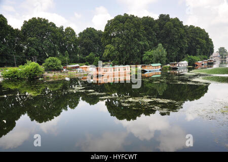 Kashmir Casa Barca, dal Lago, bella vista, India (Foto Copyright © di Saji Maramon) Foto Stock