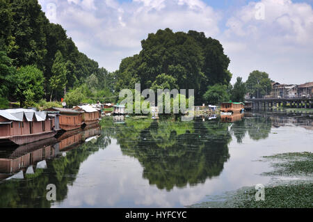 Kashmir Casa Barca, dal Lago, bella vista, India (Foto Copyright © di Saji Maramon) Foto Stock