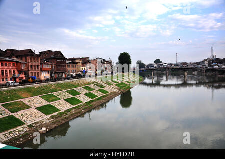 Kashmir dal Lago bello Lago, strada a lato negozi (Foto Copyright © di Saji Maramon) Foto Stock