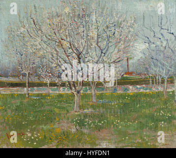 Vincent van Gogh di frutteti in fiore (Susino) Google Art Project Foto Stock