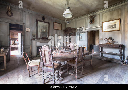 HAUNTING immagini rivelano la straordinaria di tassidermia e raccolta di pistola lasciati marcire nelle rovine di un abbandonati castello francese che potrebbe essere stato abbandonato negli ultimi sei decenni. Eye-opening fotografie visualizzare l'animale spooky ornamenti sparsi in tutto il grande palazzo abbandonato come ben come i fucili e munizioni che avrebbe potuto essere utilizzato su Safari per il danno loro la caccia. Catturato da esploratore urbano Florian Michaud, 30, queste fotografie includono le tartarughe ripiene, coccodrilli, uno squalo, un cobra e mongoose combattendo ogni altro, un anatra, pesce, coniglio, antilopi, peacock e un cervo alla testa. Dall'ag Foto Stock