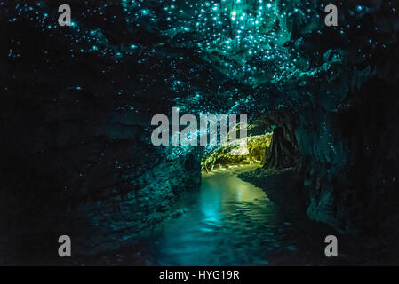 Nuova Zelanda, Isola del nord - Waitomo Grotte delle Lucciole. Il viaggio di un milione di miglia intorno al pianeta questo fotografo ha completato la sua ricerca per mostrare il lato alieno alla terra. Da auroras celeste a fiery crateri e mari cosmica, queste foto scattate da tutto il mondo a compiere la nostra accogliente pianeta guardare come un extra-terrestre mondo. Il fotografo Martin Rietze, 50, ha viaggiato in quaranta volte intorno al pianeta negli ultimi dieci anni, visitando più di cinquanta paesi in tutti i sette continenti, spesso a rischio della propria vita per documentare questi momenti spettacolari. Foto Stock