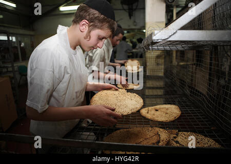 I religiosi i ragazzi ebrei controllare la Matza o Matzah Shmura dopo che è stata cotta per assicurarsi che sia Kosher per Pasqua, siamo a un matzah fatti a mano la fabbrica Foto Stock