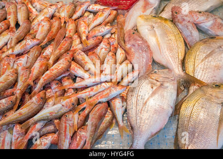 Pesce fresco in vendita in un mercato di Palermo, Sicilia Foto Stock