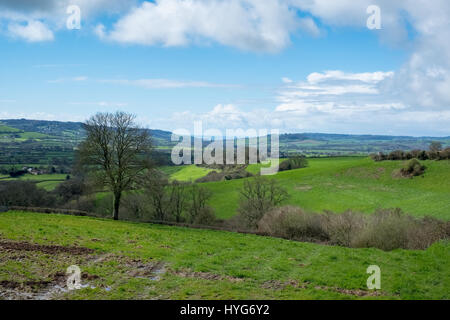 Vista panoramica del paesaggio ondulato di Somerset Foto Stock