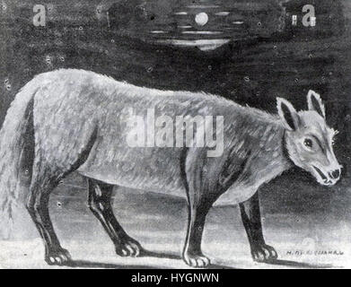 Niko Pirosmani, un pittore georgiano, ha creato questo dipinto di uno sciacallo prima del 1919. Foto Stock