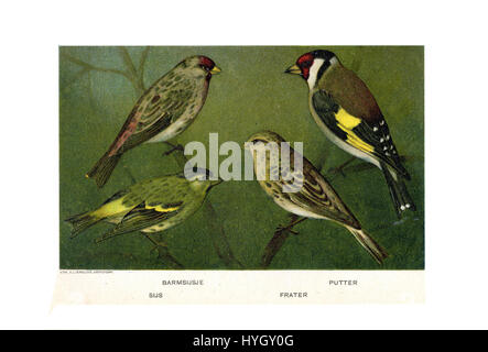 "Vogels door Jan van Oort" si riferisce a un'opera dell'artista Jan van Oort, che probabilmente raffigura uccelli. Il pezzo esemplifica la sua abilità nel catturare la natura e la fauna selvatica, con particolare attenzione agli uccelli nel loro ambiente naturale. Foto Stock