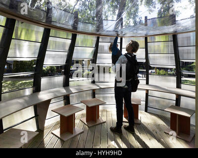 Interno. TREExOFFICE, Londra, Regno Unito. Architetto: Tate Harmer, 2015. Foto Stock