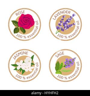 Set di oli essenziali etichette. Rose, salvia, lavanda, Jasmine Illustrazione Vettoriale