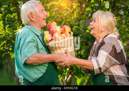 Coppia di anziani giardinieri. Foto Stock