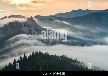 Sunrise e nebbia all'Hurricane Ridge, il Parco Nazionale di Olympic, Washington. Foto Stock