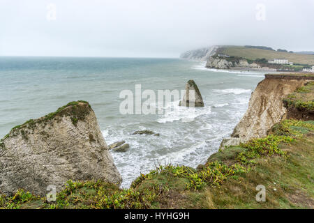 Una vista della baia di acqua dolce, Isle of Wight, preso dal sentiero costiero e che mostra la roccia stag. Foto Stock