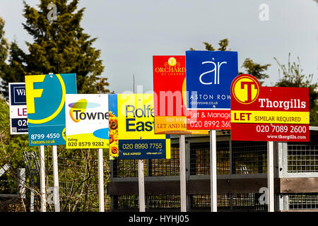 Più schede pubblicizzato da diversi agenti immobiliari al di fuori di una proprietà Foto Stock