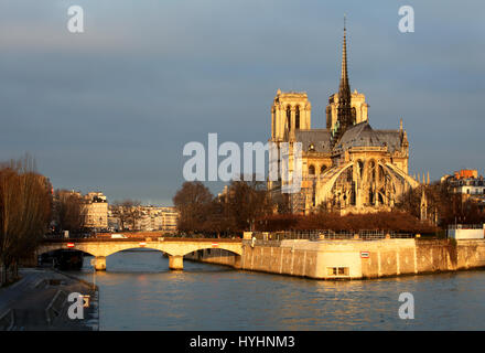 La cattedrale di Notre Dame a Parigi, Francia Foto Stock