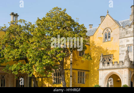 La molla a Ashton Court vicino a Bristol Foto Stock