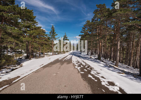 Strada di montagna ricoperte di neve nella stagione invernale, in Neila lagune, Burgos, Spagna. Foto Stock