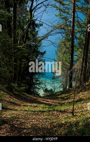 Il lago Fuschlsee visto attraverso le ombre degli alberi Foto Stock