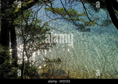 Il lago Fuschlsee visto attraverso le ombre degli alberi Foto Stock