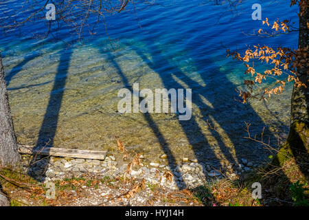 Il lago Fuschlsee visto attraverso le ombre degli alberi Foto Stock