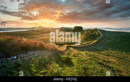 Parete di Adriano vicino Houseteads Roman Fort, Vercovicium, Northumberland, England, Regno Unito Foto Stock
