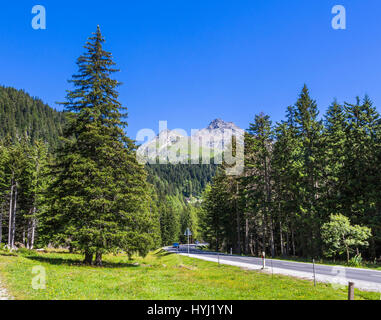 Maloja Pass, alta Engadina, Engadina, Maloja regione del Cantone dei Grigioni, Svizzera Foto Stock