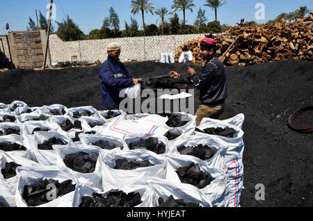 Il Cairo, Egitto. 3 apr, 2017. Lavoratori egiziani di raccogliere un carbone a un campo di lavoro in Zagazig, Governatorato Sharqiya, circa 62,5 km (38,8 miglia a nord-est del Cairo, il 5 aprile 2017 Credit: Sayed Amr/immagini APA/ZUMA filo/Alamy Live News Foto Stock