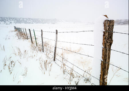 Filo spinato in fresco di aprile tempesta di neve: Vandaveer Ranch; Salida; Colorado; USA Foto Stock