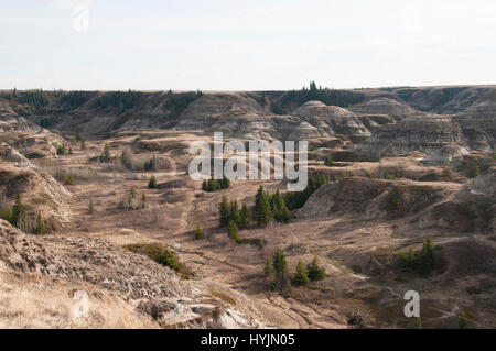 Horseshoe Canyon Alberta Foto Stock