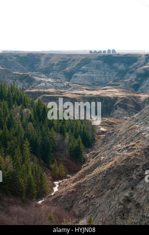 Horseshoe Canyon Alberta Foto Stock