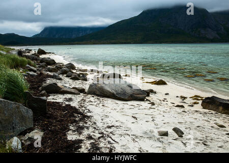 L'Europa,NORVEGIA,Lofoten,Flakstadoya isola,spiaggia sabbiosa Foto Stock